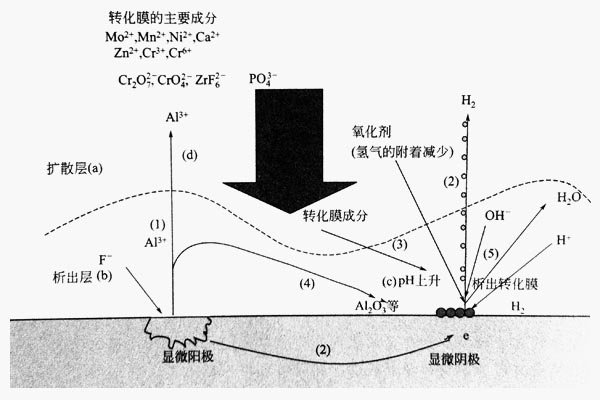 鋁型材化學(xué)轉(zhuǎn)化膜析出模型圖 鋁型材化學(xué)轉(zhuǎn)化膜析出模型圖